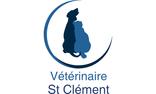 Clinique vétérinaire St Clément